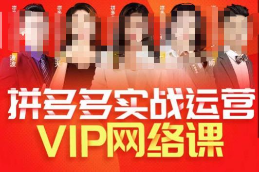 推易拼多多VIP全套直播课程，拼多多店铺实操玩法+实战玩法选款内功+直通车高阶等-一米创业记