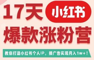 17天小红书爆款涨粉营(广告变现方向),教你打造小红书博主IP、接广告变现的-一米创业记