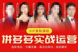 2023推易拼多多实战运营，选款测品、引爆流量、高点击转化、规则解析-一米创业记