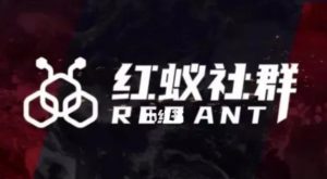 社群运营：红蚁社群【48节落地系统课程+2000人高端社群】-一米创业记