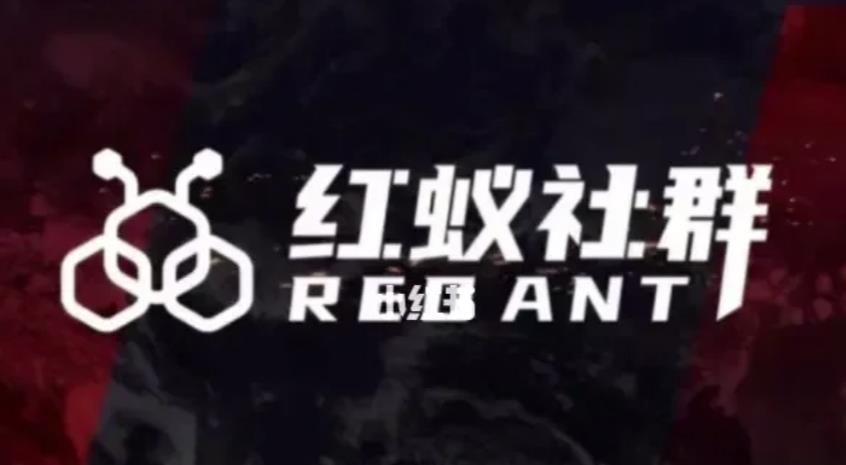 社群运营：红蚁社群【48节落地系统课程+2000人高端社群】-一米创业记