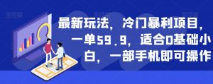 最新玩法，冷门暴利项目，一单59.9，适合0基础小白，一部手机即可操作【揭秘】-一米创业记