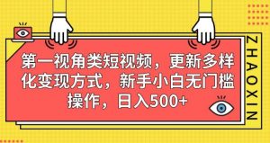 第一视角类短视频,更新多样化变现方式,新手小白无门槛操作,日入500+【揭秘】-一米创业记