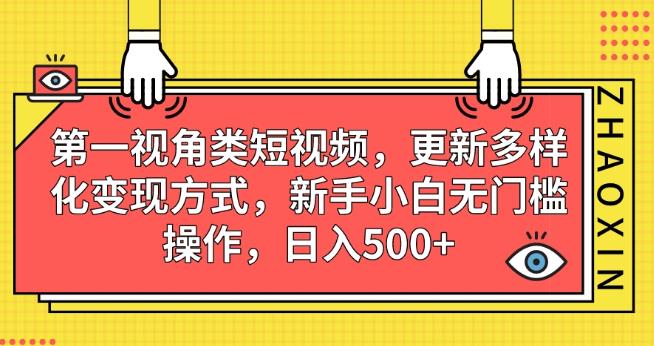 第一视角类短视频，更新多样化变现方式，新手小白无门槛操作，日入500+【揭秘】-一米创业记