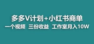 【蓝海项目】多多v计划+小红书商单一个视频三份收益工作室月入10w-一米创业记