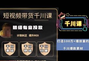短视频带货-千川专业投放课，​精细化专业投放，计划纠正，提升ROI-一米创业记