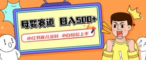 小红书育儿资料，一部手机可操作，多种变现方式，日入500+，私域变现，长期可持续项目【揭秘】-一米创业记