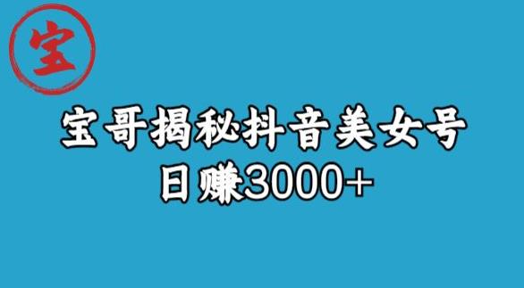 宝哥揭秘抖音美女号玩法，日赚3000+【揭秘】-一米创业记