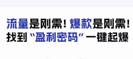 电商盈利精品课：6大盈利密码让产品更好卖，流量是刚需！爆款是刚需！找到”盈利密码”一键起爆-一米创业记