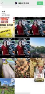 外面收费198的最新视频号连怼技术，条条原创，条条爆单【揭秘】-一米创业记