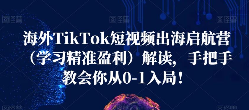 海外TikTok短视频出海启航营（学习精准盈利）解读，手把手教会你从0-1入局！-一米创业记