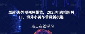 黑冰·海外短视频带货，2023年跨境新风口，海外小黄车带货新机遇-一米创业记