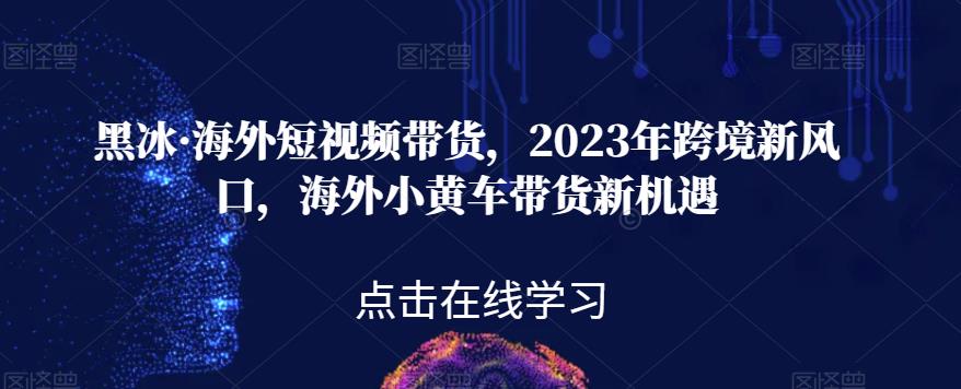 黑冰·海外短视频带货，2023年跨境新风口，海外小黄车带货新机遇-一米创业记