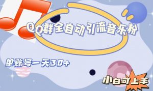 QQ群全自动引流音乐粉，单账号一天轻松引流30+-一米创业记