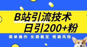 B站引流技术：每天引流200精准粉，简单操作，长期稳定，规避风险-一米创业记