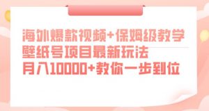 海外爆款视频+保姆级教学，壁纸号项目最新玩法，月入10000+教你一步到位【揭秘】-一米创业记