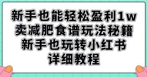 新手也能轻松盈利1w，卖减肥食谱玩法秘籍，新手也玩转小红书详细教程【揭秘】-一米创业记