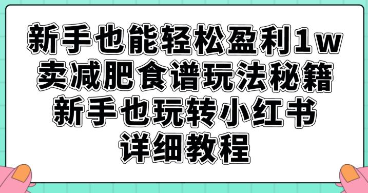 新手也能轻松盈利1w，卖减肥食谱玩法秘籍，新手也玩转小红书详细教程【揭秘】-一米创业记