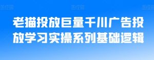 老猫投放巨量千川广告投放学习实操系列基础逻辑-一米创业记