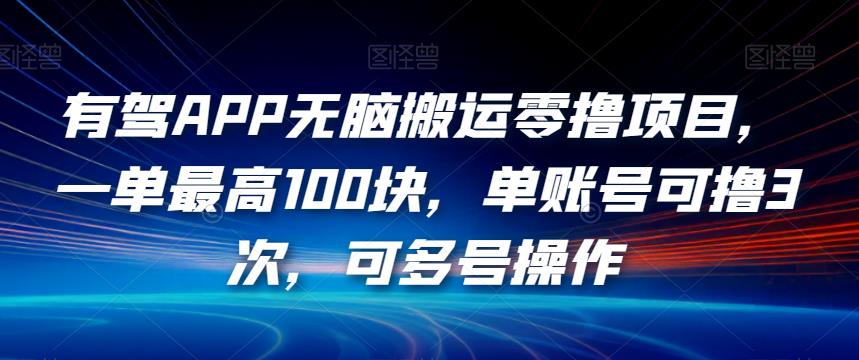 有驾APP无脑搬运零撸项目,一单最高100块,单账号可撸3次,可多号操作【揭秘】-一米创业记