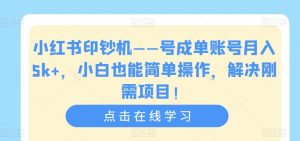 小红书印钞机——号成单账号月入5k+，小白也能简单操作，解决刚需项目【揭秘】-一米创业记