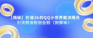 【揭秘】价值3k的QQ小世界截流曝光引流精准粉创业粉（附脚本）-一米创业记