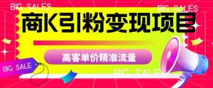 商K引粉变现项目，高客单价精准流量【揭秘】-一米创业记