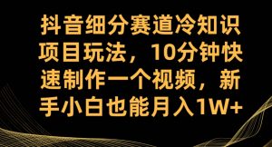 抖音细分赛道冷知识项目玩法，10分钟快速制作一个视频，新手小白也能月入1W+【揭秘】-一米创业记