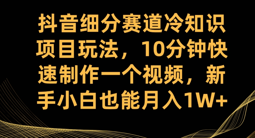 抖音细分赛道冷知识项目玩法，10分钟快速制作一个视频，新手小白也能月入1W+【揭秘】-一米创业记