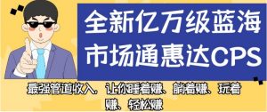 全新亿万级蓝海市场通惠达cps，最强管道收入，让你睡着赚、躺着赚、玩着赚、轻松赚【揭秘】-一米创业记
