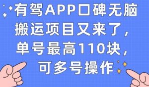 有驾APP口碑无脑搬运项目又来了，单号最高110块，可多号操作-一米创业记