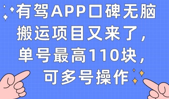 有驾APP口碑无脑搬运项目又来了，单号最高110块，可多号操作-一米创业记