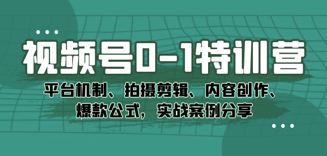 视频号0-1特训营：平台机制、拍摄剪辑、内容创作、爆款公式，实战案例分享-一米创业记