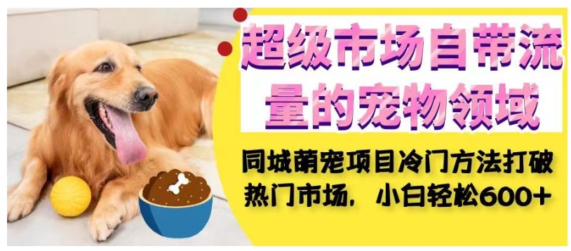 超级市场自带流量的宠物领域，同城萌宠项目冷门方法打破热门市场，小白轻松600+-一米创业记