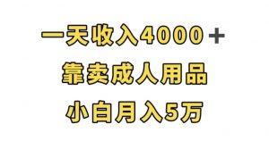 一天收入4000+，靠卖成人用品，小白轻松月入5万【揭秘】-一米创业记