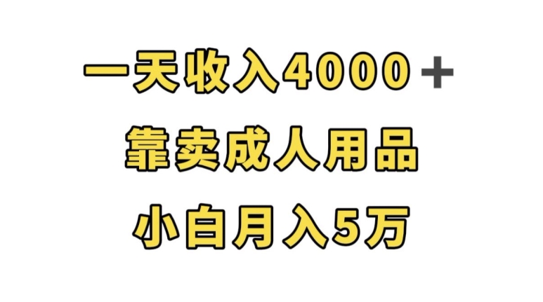 一天收入4000+，靠卖成人用品，小白轻松月入5万【揭秘】-一米创业记