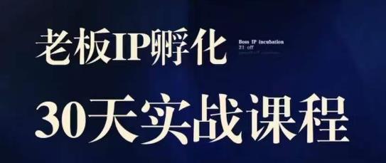 诸葛·2023老板IP实战课，实体同城引流获客，IP孵化必听-一米创业记