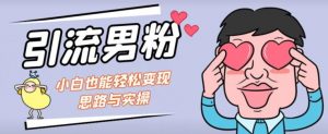 引流男粉+小白也能暴力变现的思路与实操【揭秘】-一米创业记