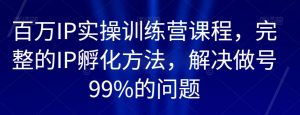 百万IP实操训练营课程，完整的IP孵化方法，解决做号99%的问题-一米创业记