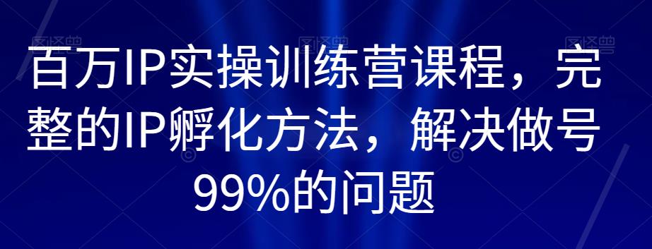 百万IP实操训练营课程，完整的IP孵化方法，解决做号99%的问题-一米创业记