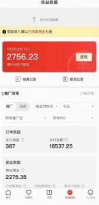 拼多多无人直播不封号玩法，0投入，3天必起，日入1000+-一米创业记