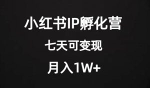价值2000+的小红书IP孵化营项目，超级大蓝海，七天即可开始变现，稳定月入1W+-一米创业记