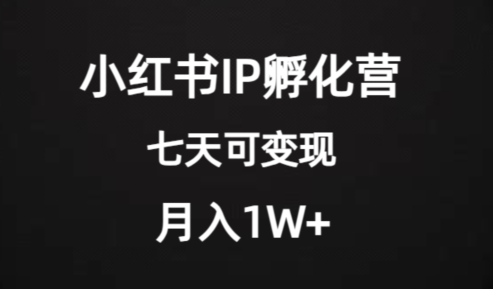 价值2000+的小红书IP孵化营项目，超级大蓝海，七天即可开始变现，稳定月入1W+-一米创业记