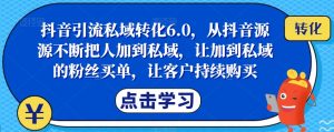 抖音引流私域转化6.0，从抖音源源不断把人加到私域，让加到私域的粉丝买单，让客户持续购买-一米创业记