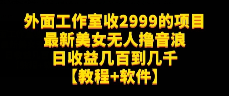外面工作室收2999的项目最新美女无人撸音浪日收益几百到几千【教程+软件】（仅揭秘）-一米创业记