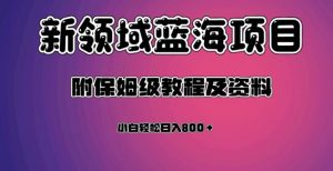 虚拟资源蓝海领域新项目，轻松日入800＋，附保姆级教程及资料-一米创业记