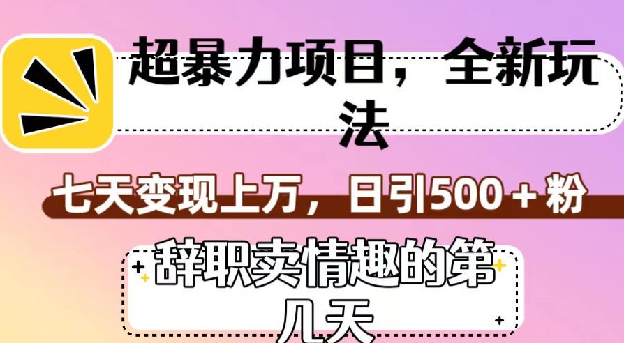 超暴利项目，全新玩法（辞职卖情趣的第几天），七天变现上万，日引500+粉【揭秘】-一米创业记