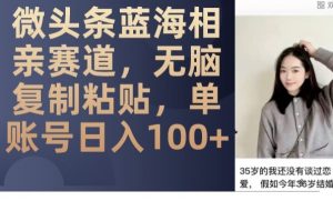微头条蓝海相亲赛道，无脑复制粘贴，单账号日入100+-一米创业记