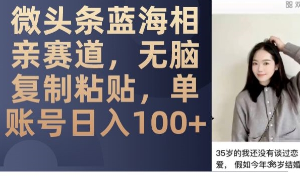 微头条蓝海相亲赛道，无脑复制粘贴，单账号日入100+-一米创业记