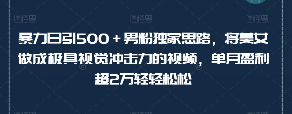 暴力日引500＋男粉独家思路，将美女做成极具视觉冲击力的视频，单月盈利超2万轻轻松松-一米创业记